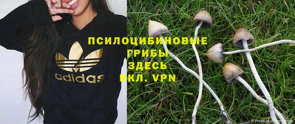 марихуана Абаза