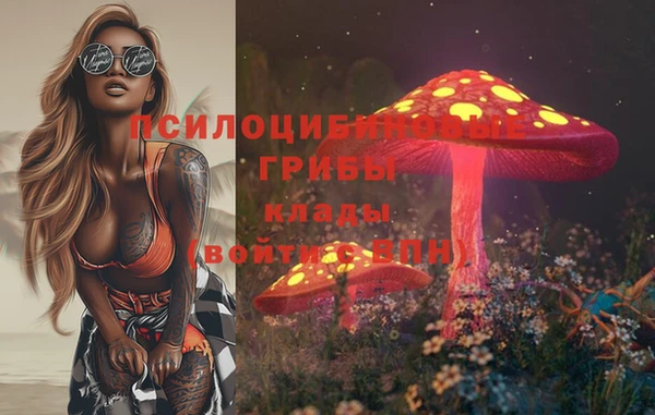 марихуана Абаза