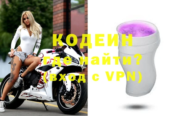 шишки Осинники