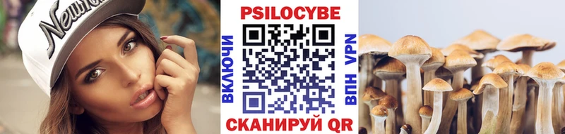ОМГ ОМГ сайт купить наркотик Вышний Волочёк Галлюциногенные грибы мухоморы